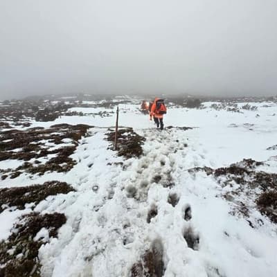 'Unprepared' hikers rescued after bushwalker dies