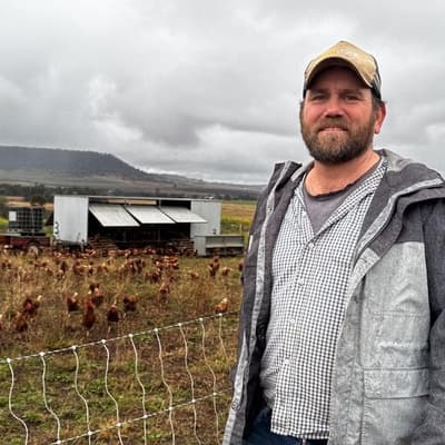 'Not the cow, the how': calls to overhaul food system