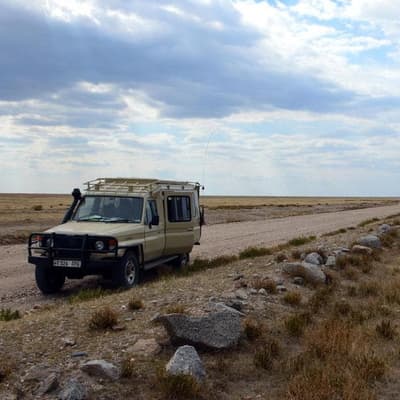 No, Toyota LandCruisers haven’t been driven out of Australia