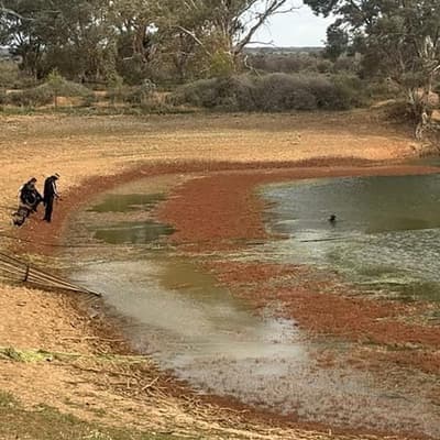 'Aching hearts': family cling to hope for missing boy