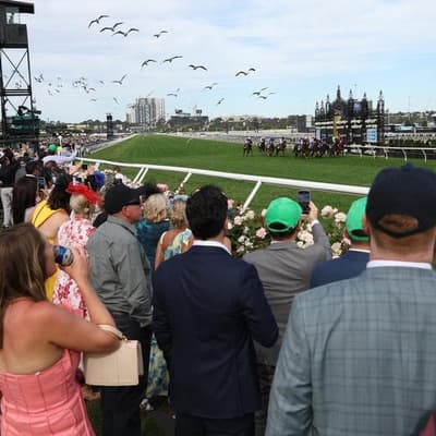 Cup Day rate cut in doubt as RBA nears final straight