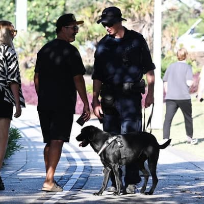 Top cop apologises but defends 'valid' strip searches