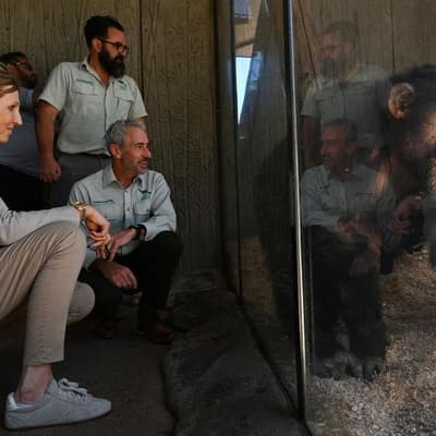 'Once in a century human': Jane Goodall's Aussie mark