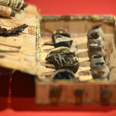 Exhibition celebrates power of Indigenous healing