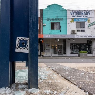 'Lower the aggro': lawyers clash over accused shooter