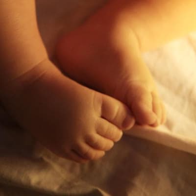 Six-week-old Priya set to impact 'countless lives'