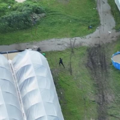 Drug crop worth $15m found in gardening igloos