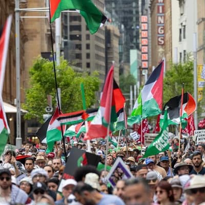 'Stop this genocide': plea for lasting Gaza ceasefire