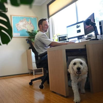 Reserve Bank to lay out reasons for not cutting rates