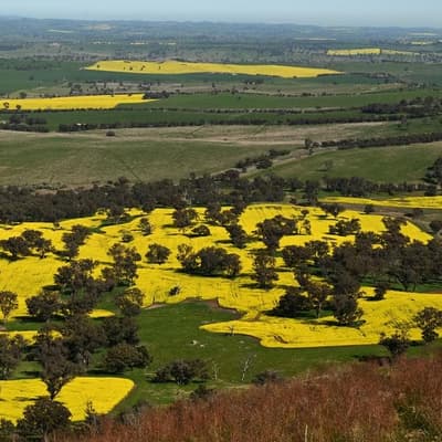 Farmland value in reverse as economy tightens