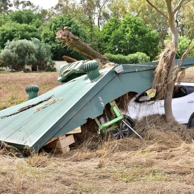 'Day from hell': how family survived an inland tsunami