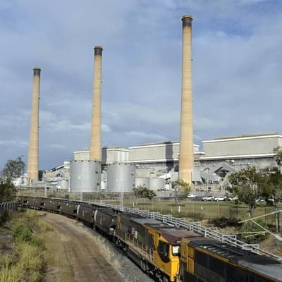 'For the birds': doubt ageing coal plants can go longer