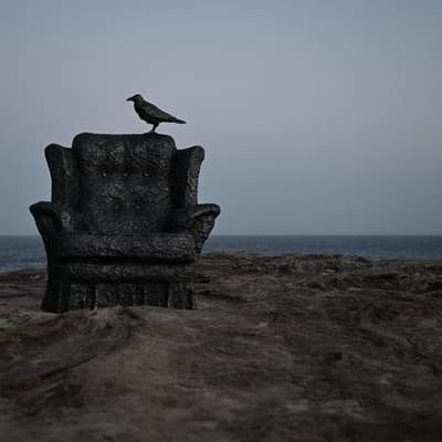 Sculpture by the Sea's plea to stay afloat after crisis