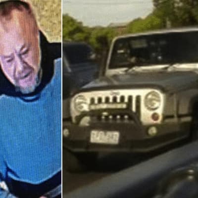 Missing diabetic camper found alive after nine days