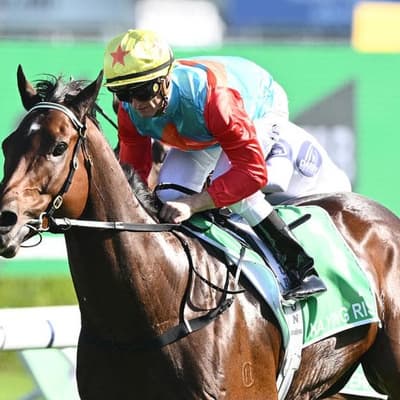 Ka Ying Rising wins $20m Everest at Randwick