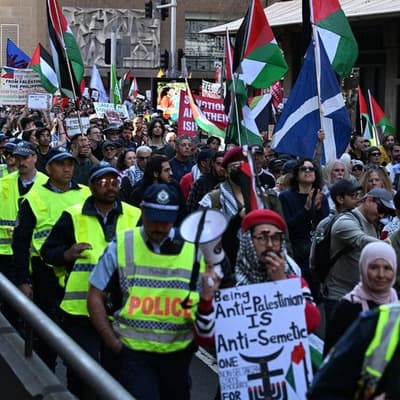 Cost of policing Palestine rallies 'cannot be provided'