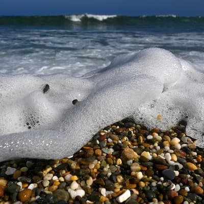 Nature reforms all at sea as Libs, Greens play hardball