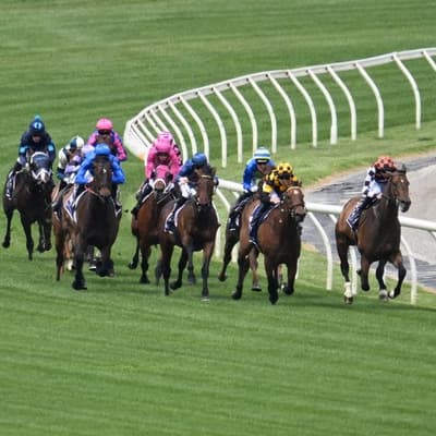 Watchdog pings racing channel for election blackout ads