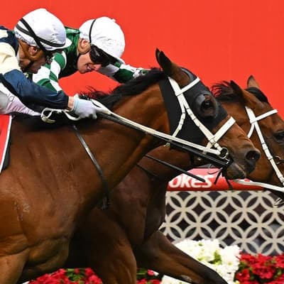 Waller's Cox Plate 'bonus' as Via Sistina defends crown