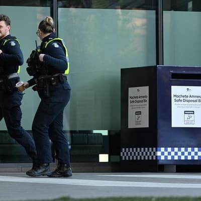 Machete thugs run riot at rugby league 'harmony' event