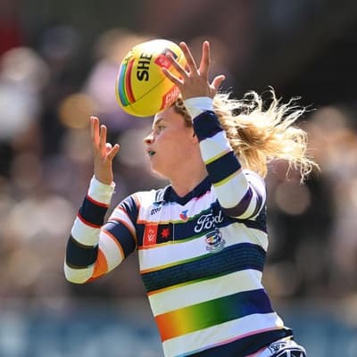 Like a swimming pool: Cats sink Dogs in the puddles