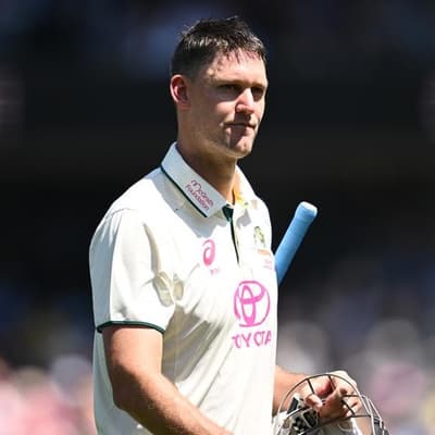 Webster out cheaply in Shield return as Vics take lead