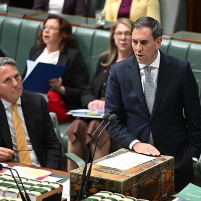 Treasurer hits back as opposition slaps panic button