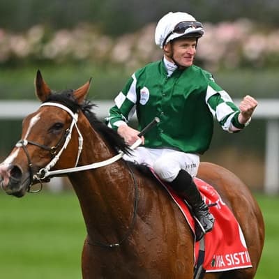 J-Mac's green light for Meydaan ahead of Cup tilt