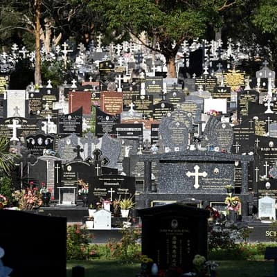 Migration isn't hiding deaths linked to vaccines: experts