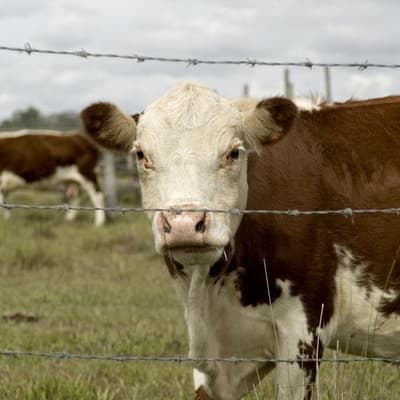 China farmland ownership map is way off the mark