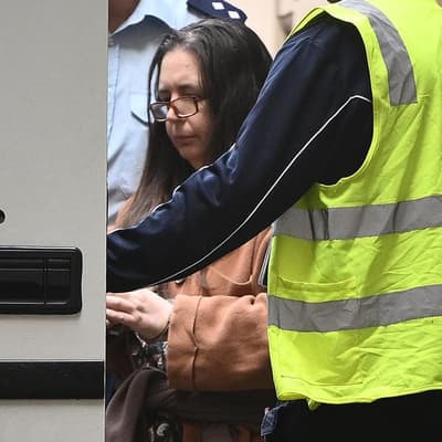 How murderer Erin Patterson will fight her convictions