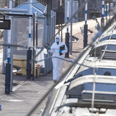 Immigrants falsely linked to UK train stabbing