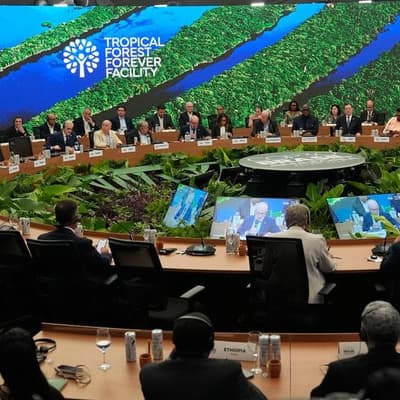 Loss of consensus lamented at UN climate summit