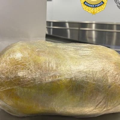 Dodgy traveller admits to having large package in pants