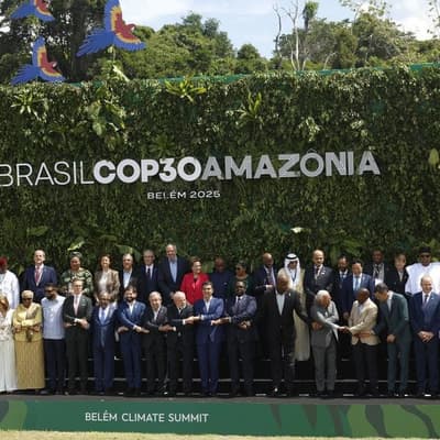 Germany supports Brazil's forest plan at climate talks