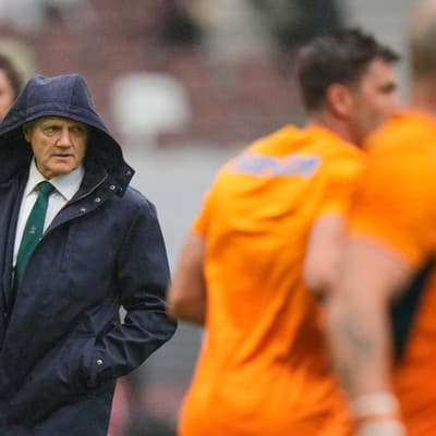 Ugly Italian job puts heat on Wallabies coach Schmidt