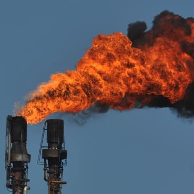 Forests, finance, fossils: climate talks hit full steam