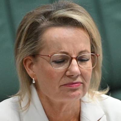 Libs making 'same mistakes' after dumping net zero