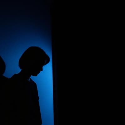 Hundreds charged in police domestic violence crackdown