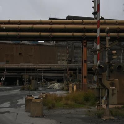 Worker killed after steel beam strike at major plant