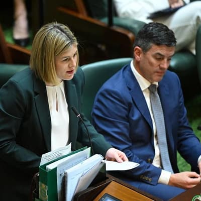 Liberal dramas continue as state leader faces spill