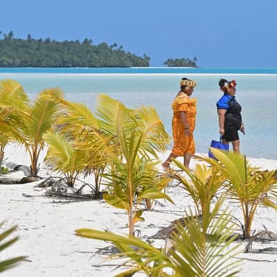 NGOs lament missed 'COPportunity' for SA and climate