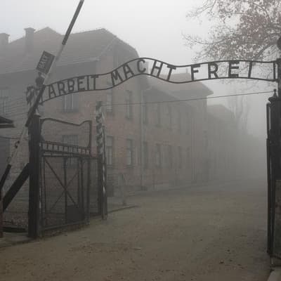 False claim twists truth about Auschwitz death numbers