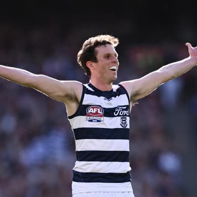 It's elementary - Cats feel more need for Holmes speed