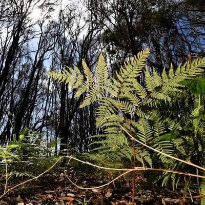 New offers made as clock starts ticking on nature talks