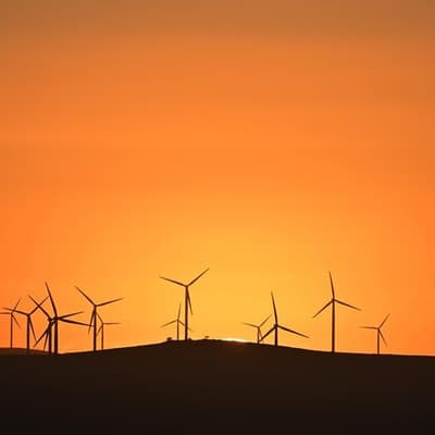 Australia needs a 'wind farm every month' to meet goals