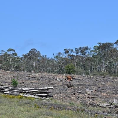 Projects on the line if deal not struck on nature bill