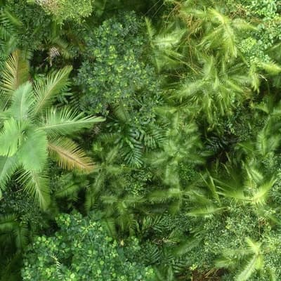 'It's disastrous': state scathing of nature reforms