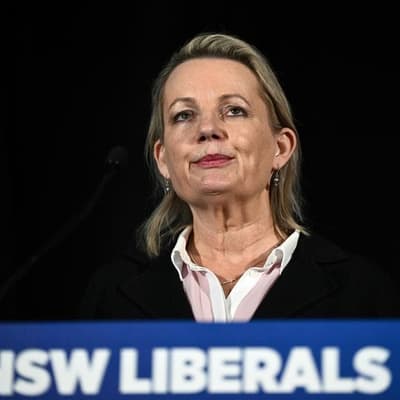 Liberals go back to basics after crawling to year's end