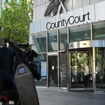 Rapist from high-profile family remanded into custody